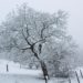 Winterbilder